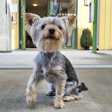 Хостел Rumi Тронхейм