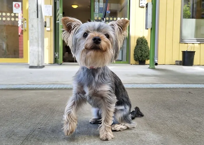 Hostel Rumi Trondheim